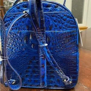Brahmin | Bags | Brahmin Sapphire Melbourne Chelcy Backpack  display picture 2